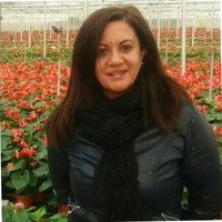 Inma Tejuelo