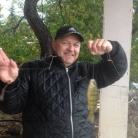 Glen Willy
