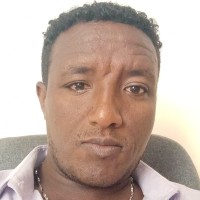 Engidaw Ayele