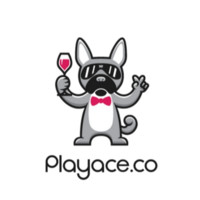 Playace House Parties