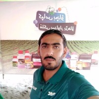 Mureed Hussain