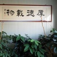 赵伯涛