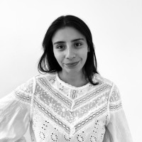 Donatella Alcerro