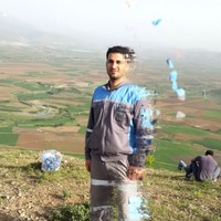 Sajjad Heydari
