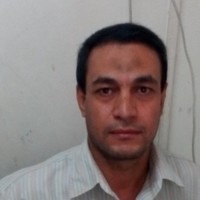Hassan Amin