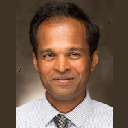 Manik Mohandas, P.E.