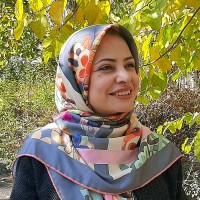 Somayeh Abolghasem Hosseini