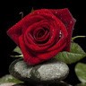 Sk Kabir