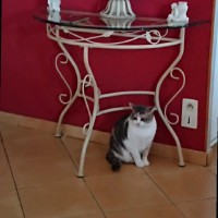 Marie France Picoreau