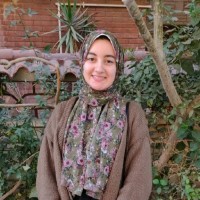 Alaa Hesham