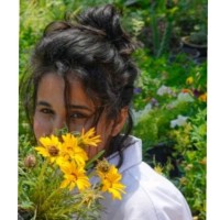 Zeenat Kaleem