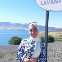 Suzan Fi̇dan