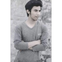 Talha Zia