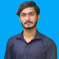 Ali husnain