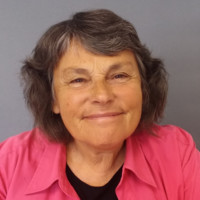 suzanne dillon