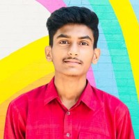 Amir Hamja Fahim