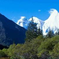 杨金良