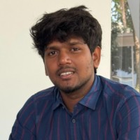 Gokulakrishnan P