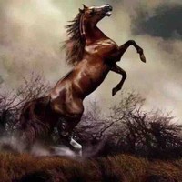严志伟