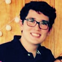 Vinícius Silva Dos Santos