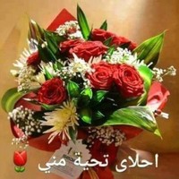 Mohamed Al Aziz