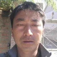 焦洪波