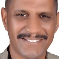 Wael Nagar