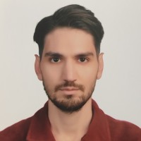 Mustafa Furkan BALDEMIR