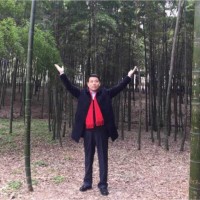 杨洪彬