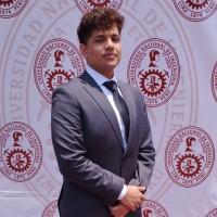 Elmer Ricardo Alarcon Martel