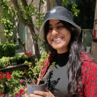 Somya Agrawal