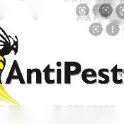 AntiPest Chandigarh