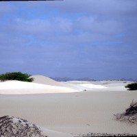 Del⚖️MID_nite 🚤. 🇨🇿فداء 🇨🇭القسطنطينية 🇪🇺