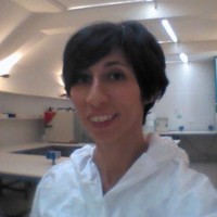 Elisabetta Cilli