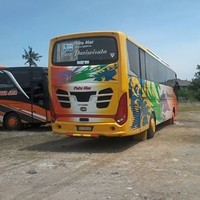 M Abdrohim