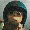 Rian Suyitno