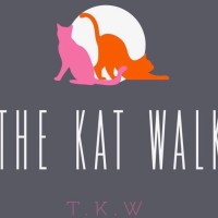 The Kat Walk Modeling Agency L.L.C // Organization