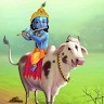 N Manoj Singh Yadav