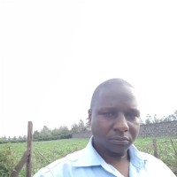 junius muthuri ntwiga