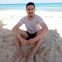 Ahmed Abd Elhamid