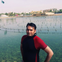 Saqib Hamad