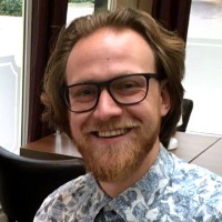 Willem Haneveer - Drok