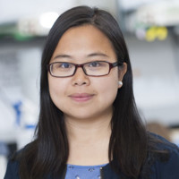 Yan Feng