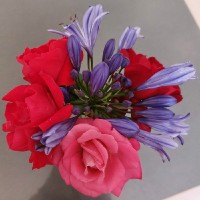 Mélitine DARRIGRAND