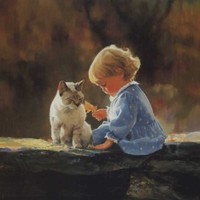 Nick N.