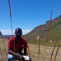 Thabo Madlala
