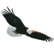 Northeast Security Inc