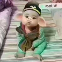 宫志鹏