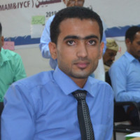 Akram Alameri