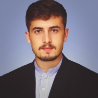 Syed Muhammad Hammad Naeem